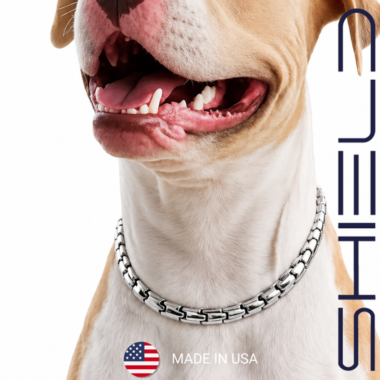 Titanium Pets Collar